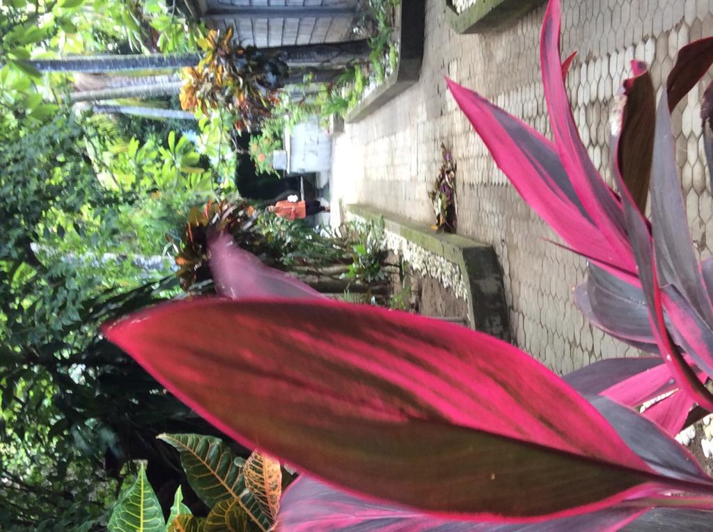 Bali Guest Villas Legian  Ngoại thất bức ảnh